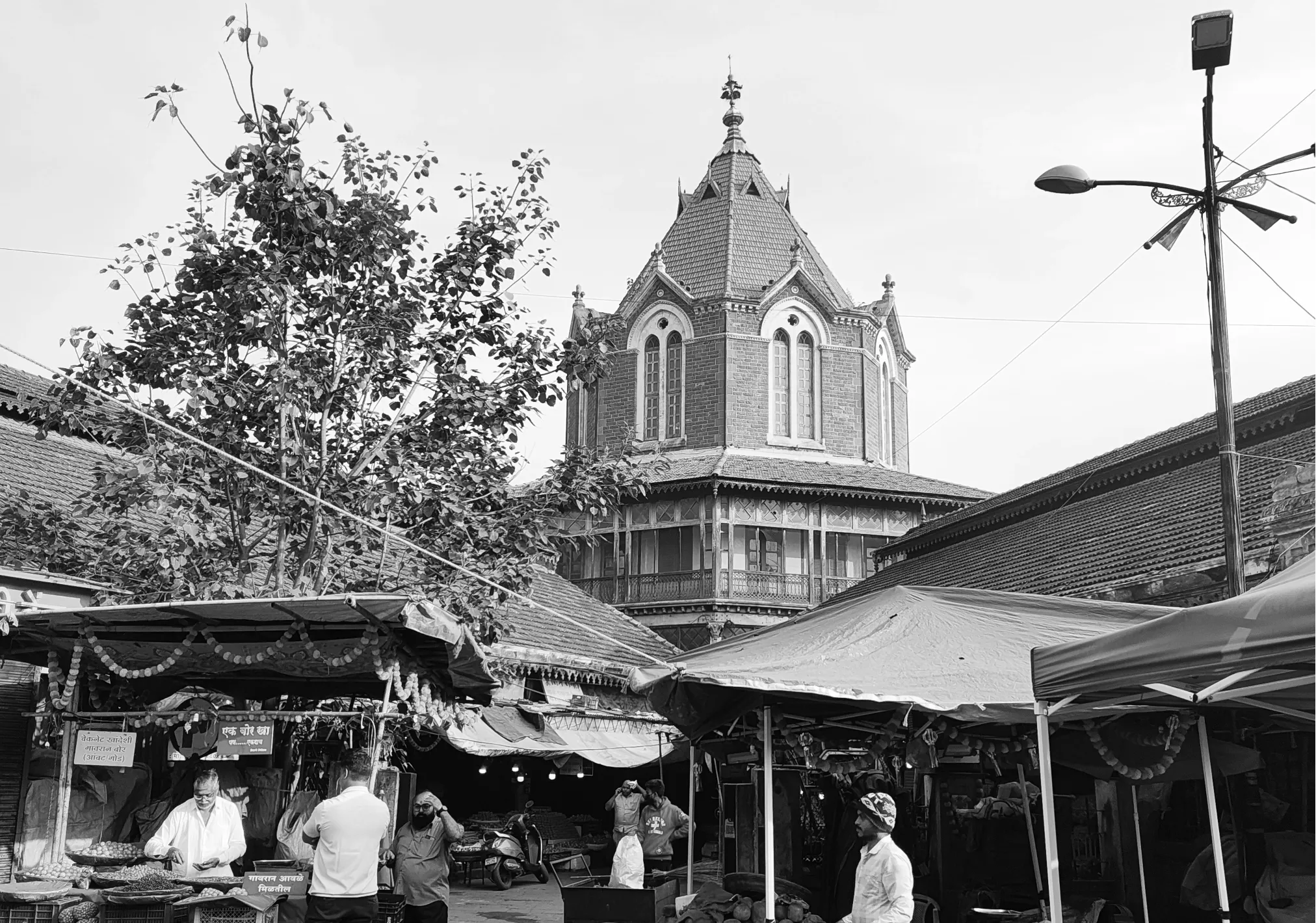 Frames of Mandai